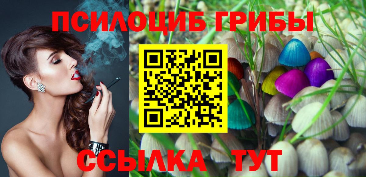 Псилоцибиновые грибы Magic Shrooms Алатырь