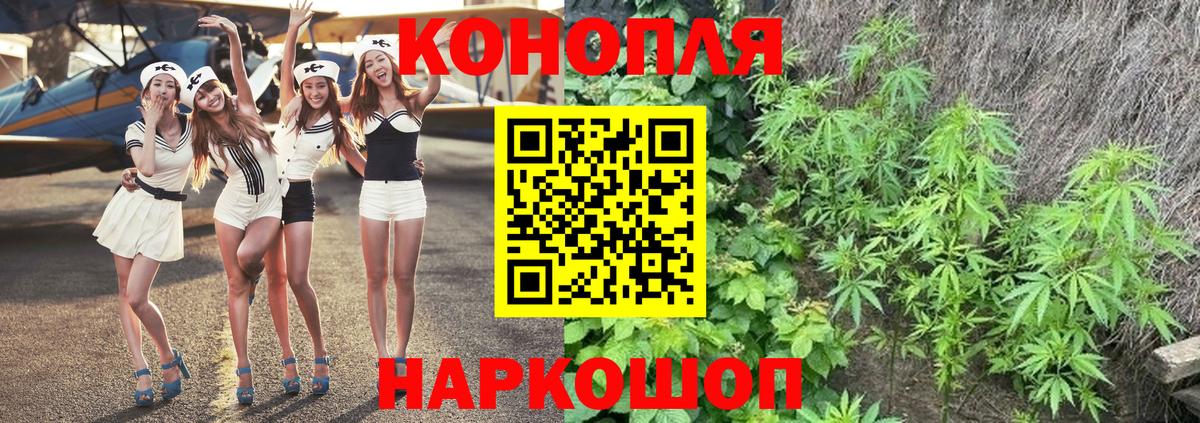 Конопля индика Алатырь